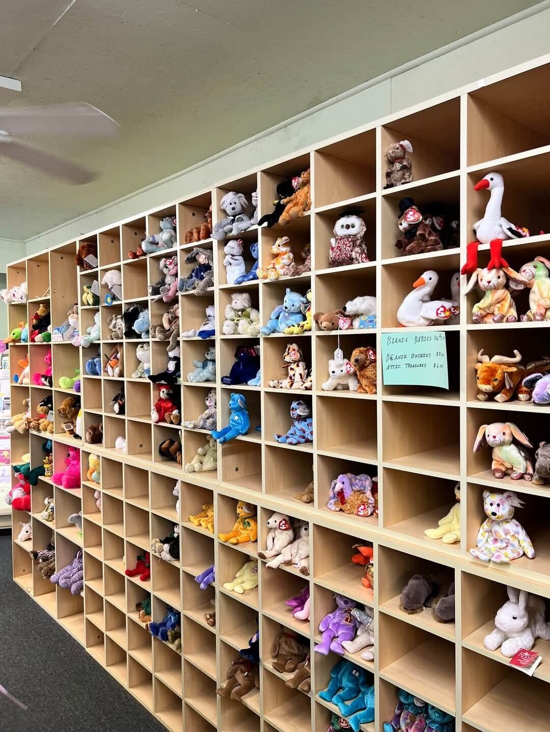 Plush friends in the gift section